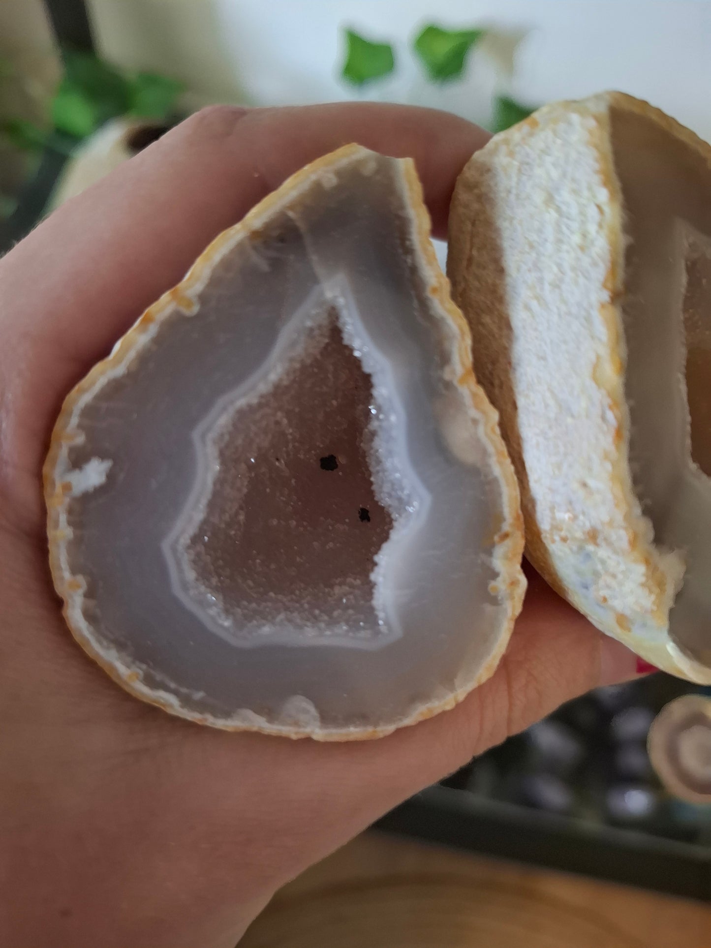 Agaat paar nr3