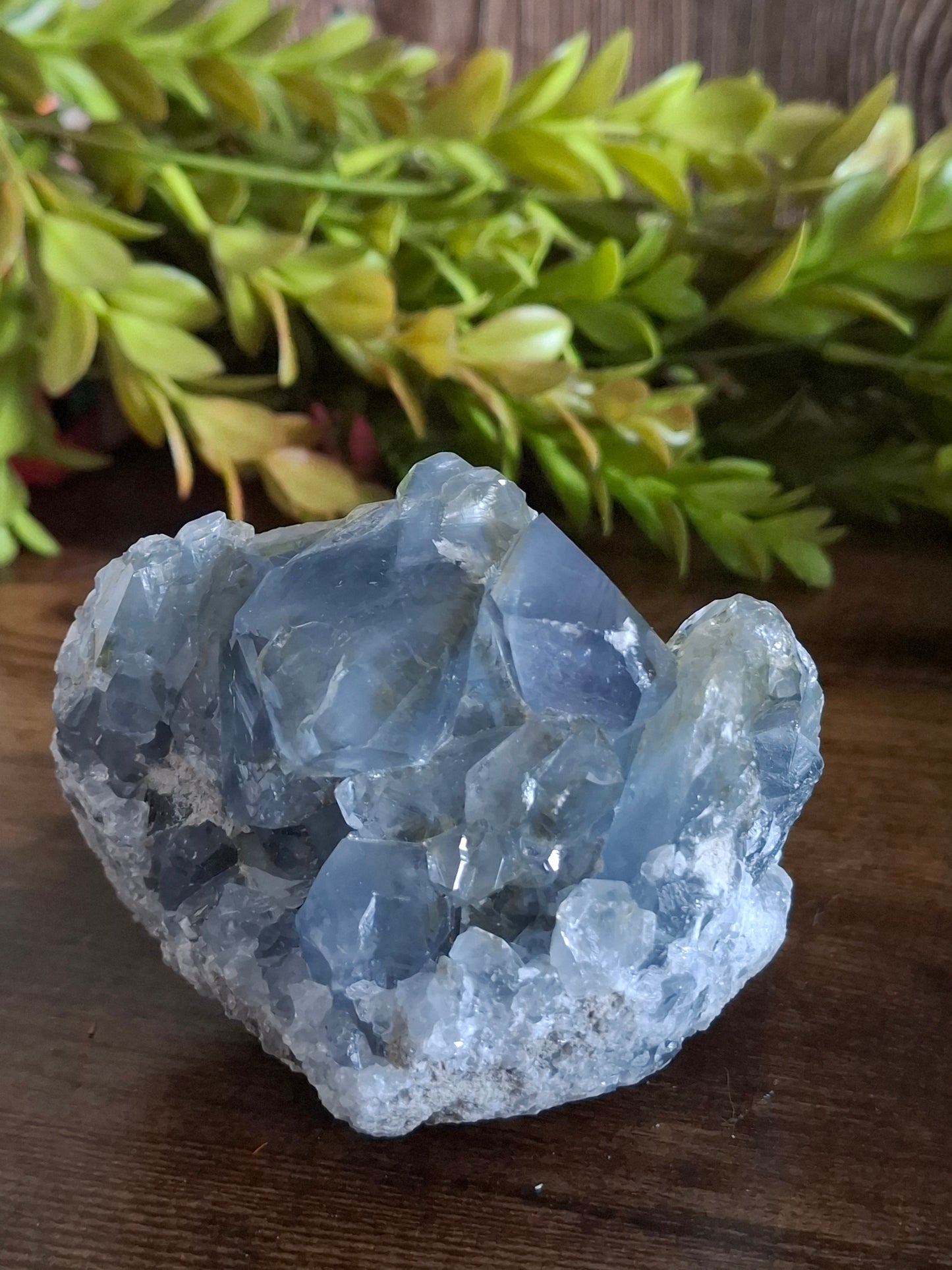 Celestien cluster nr2