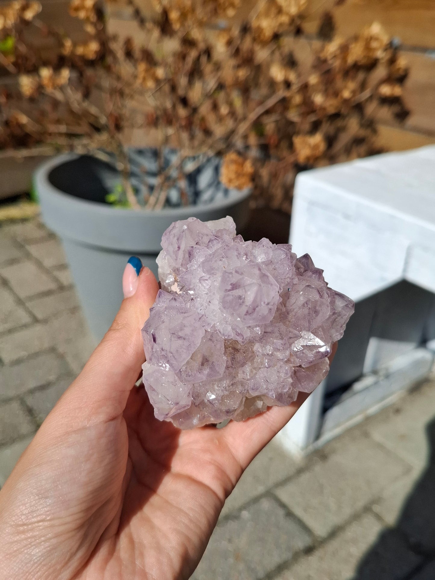 Spirit kwarts (cactus amethist)