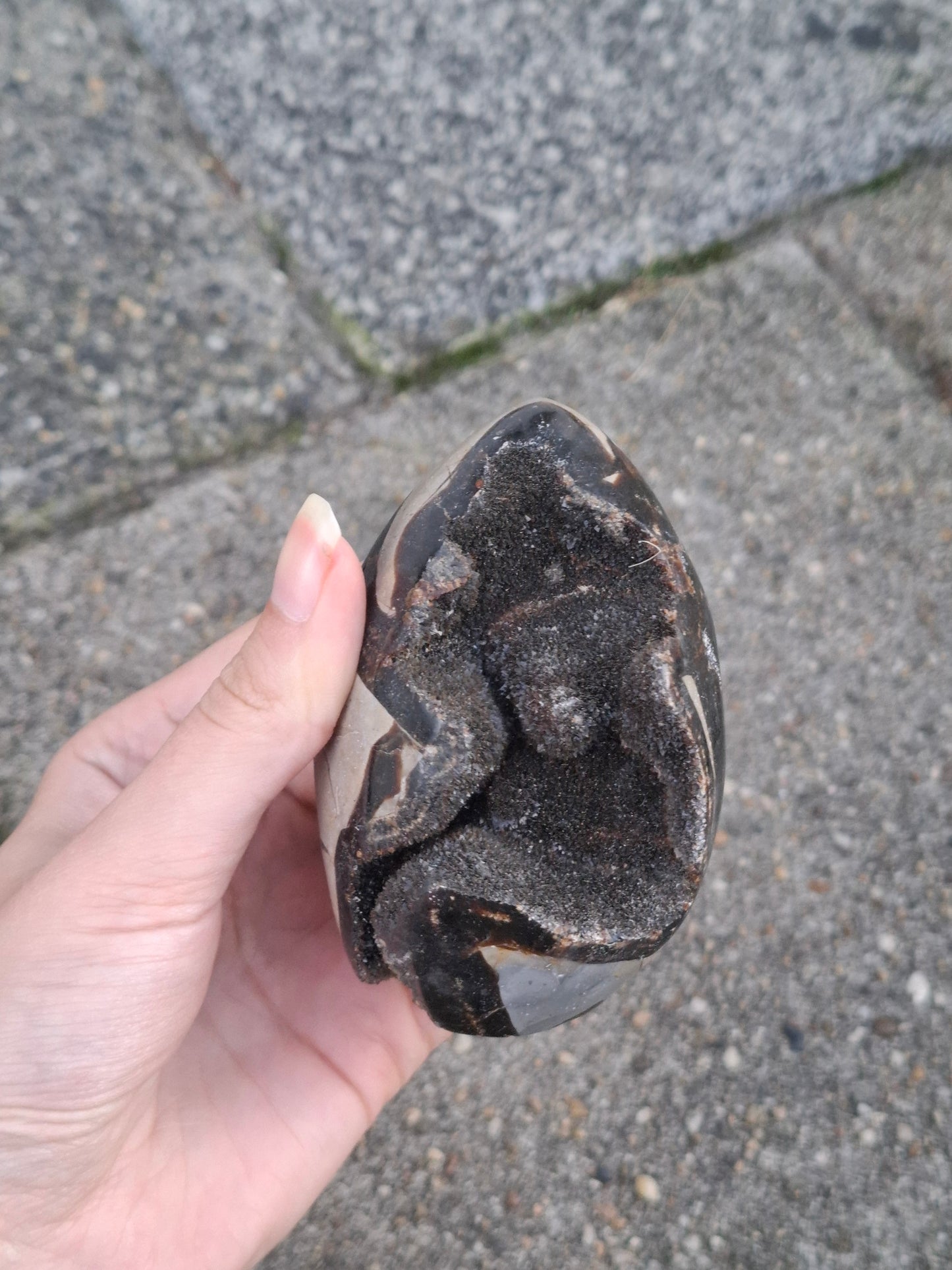 Septarie ei nr2