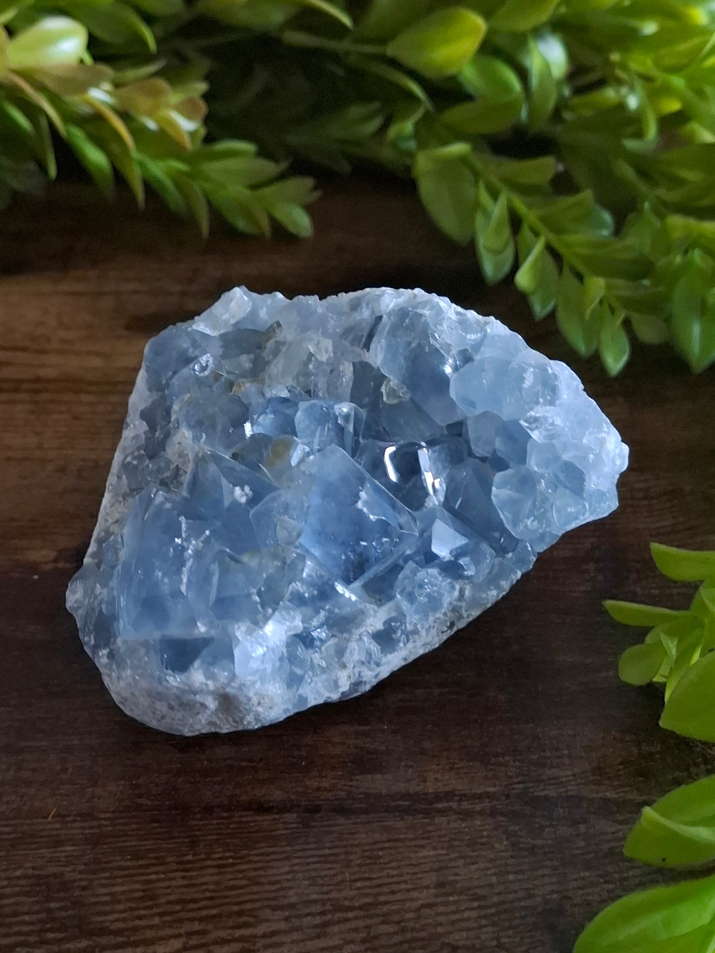 Celestien cluster nr1