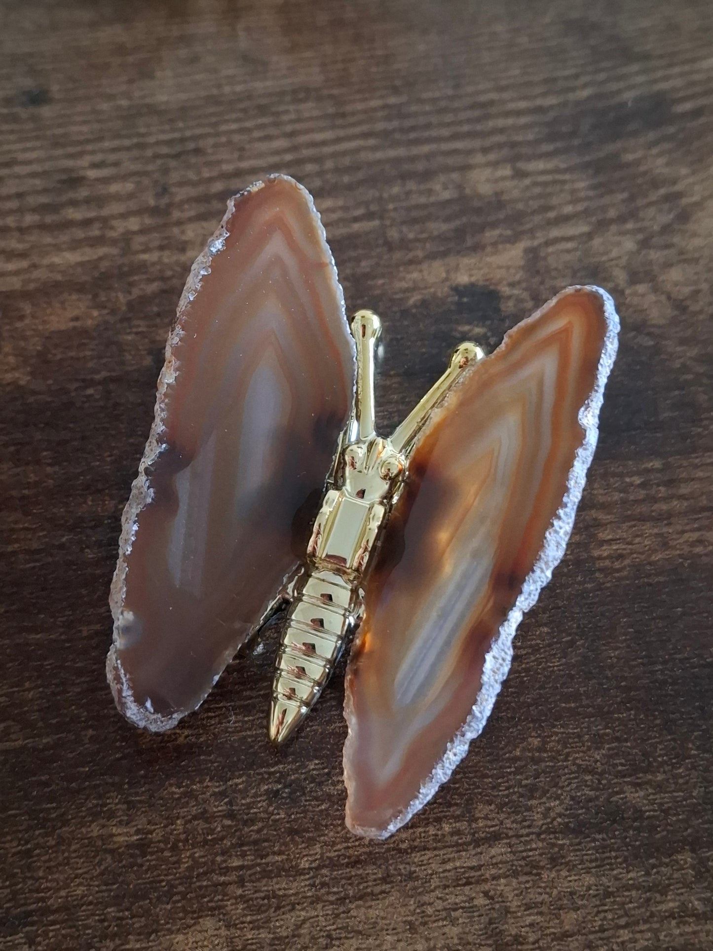 Agaat vlinder nr7