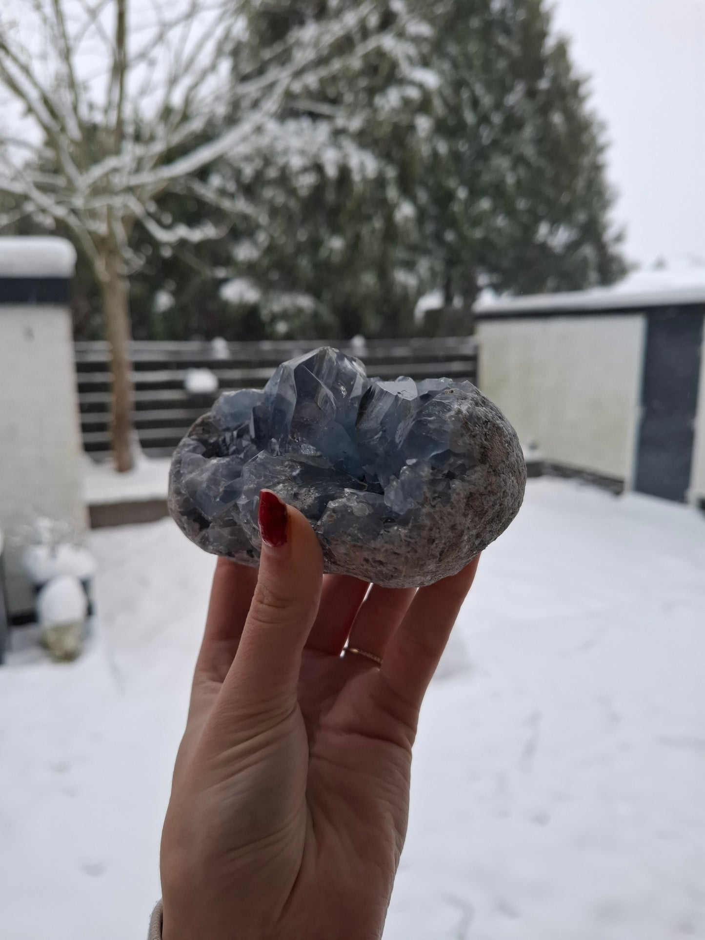 AA+ Celestien cluster