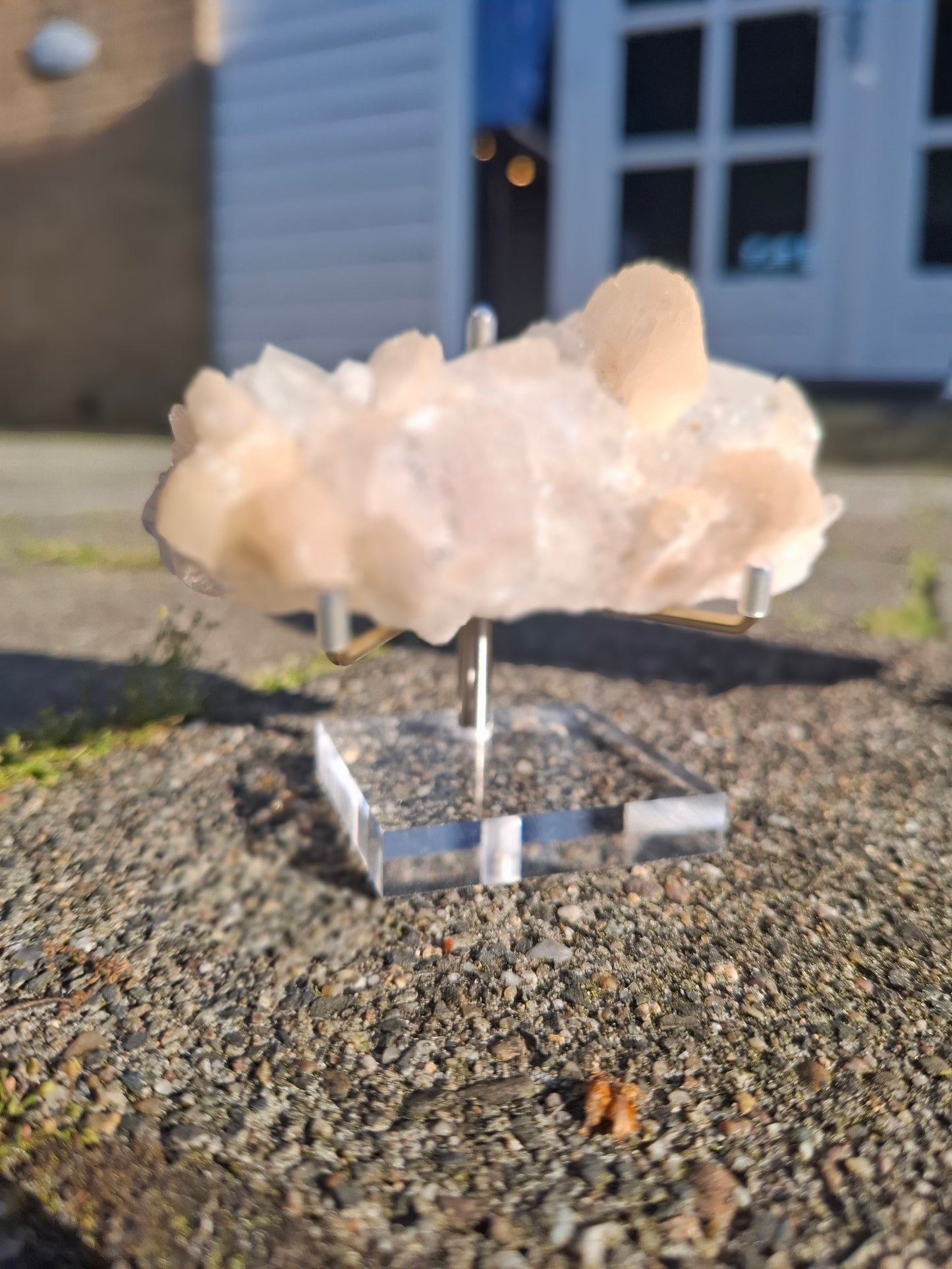 Apofyliet op standaard