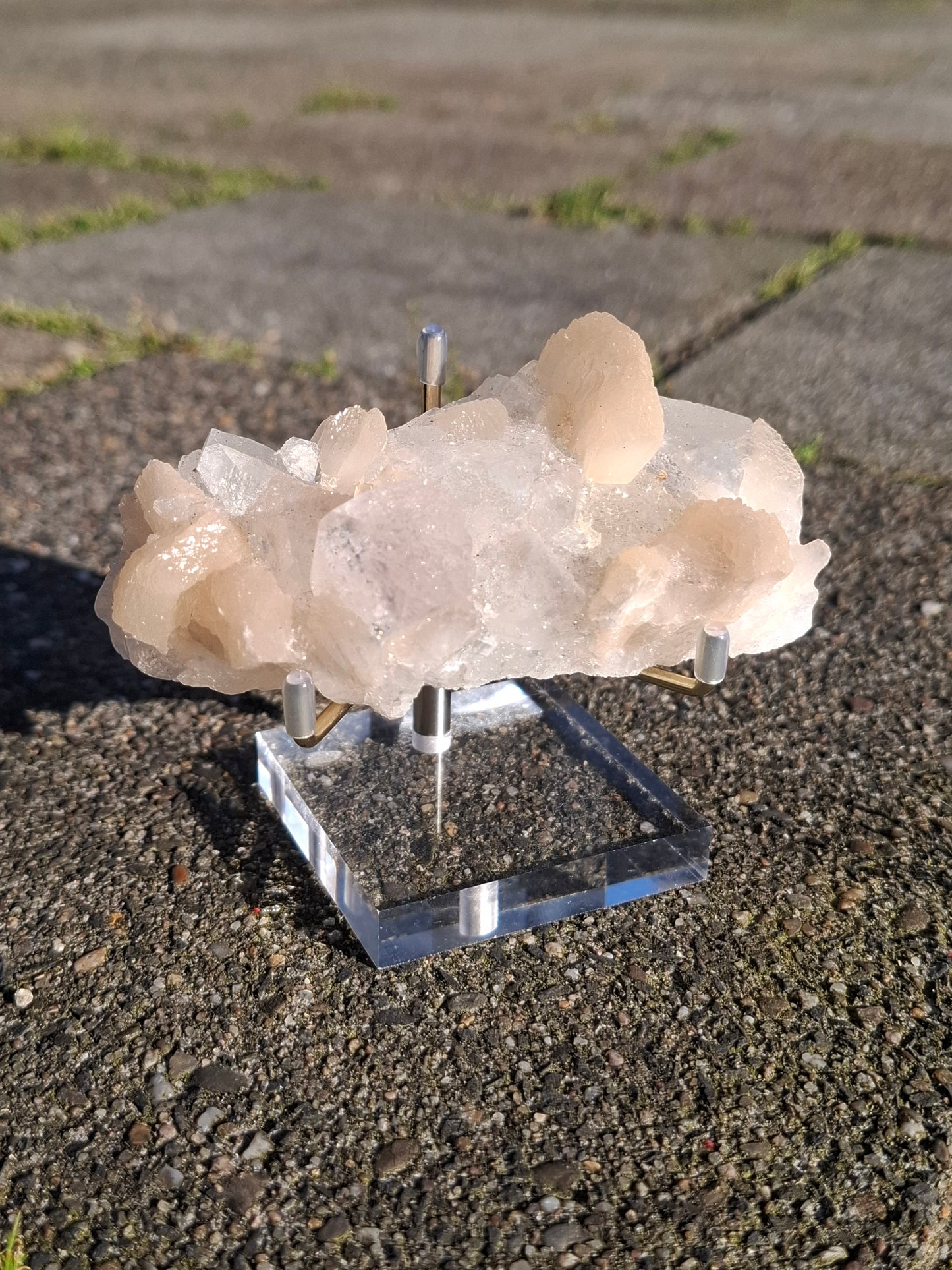 Apofyliet op standaard