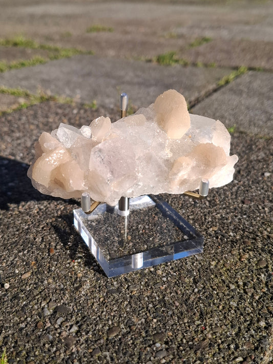 Apofyliet op standaard