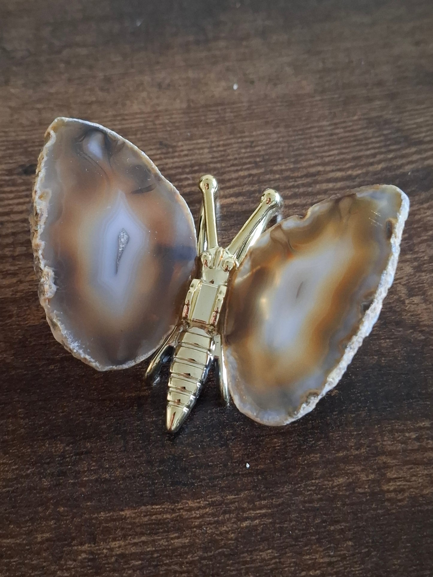 Agaat vlinder nr5
