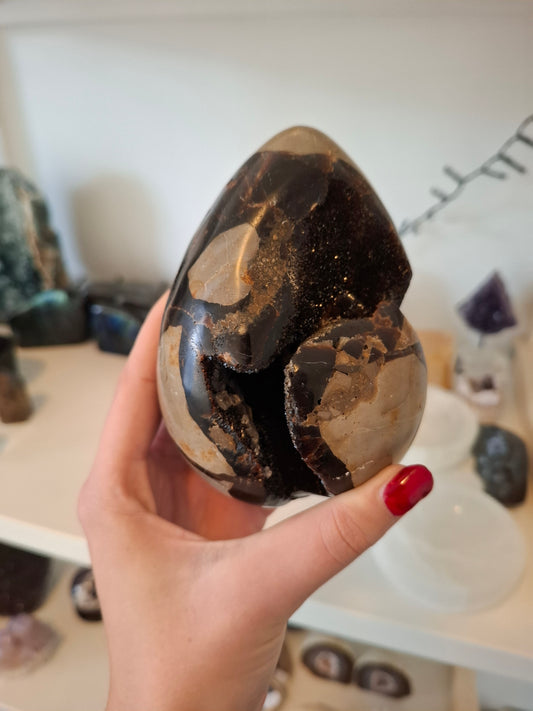 Draken ei / septarie