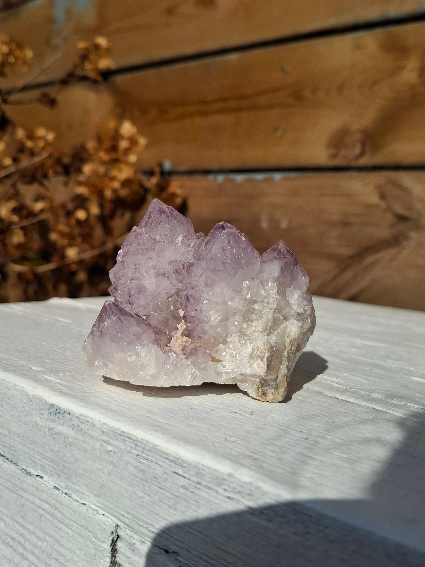 Spirit kwarts (cactus amethist)