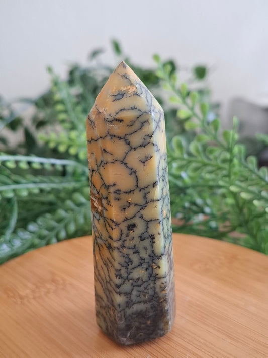 Denderiet agaat toren nr2