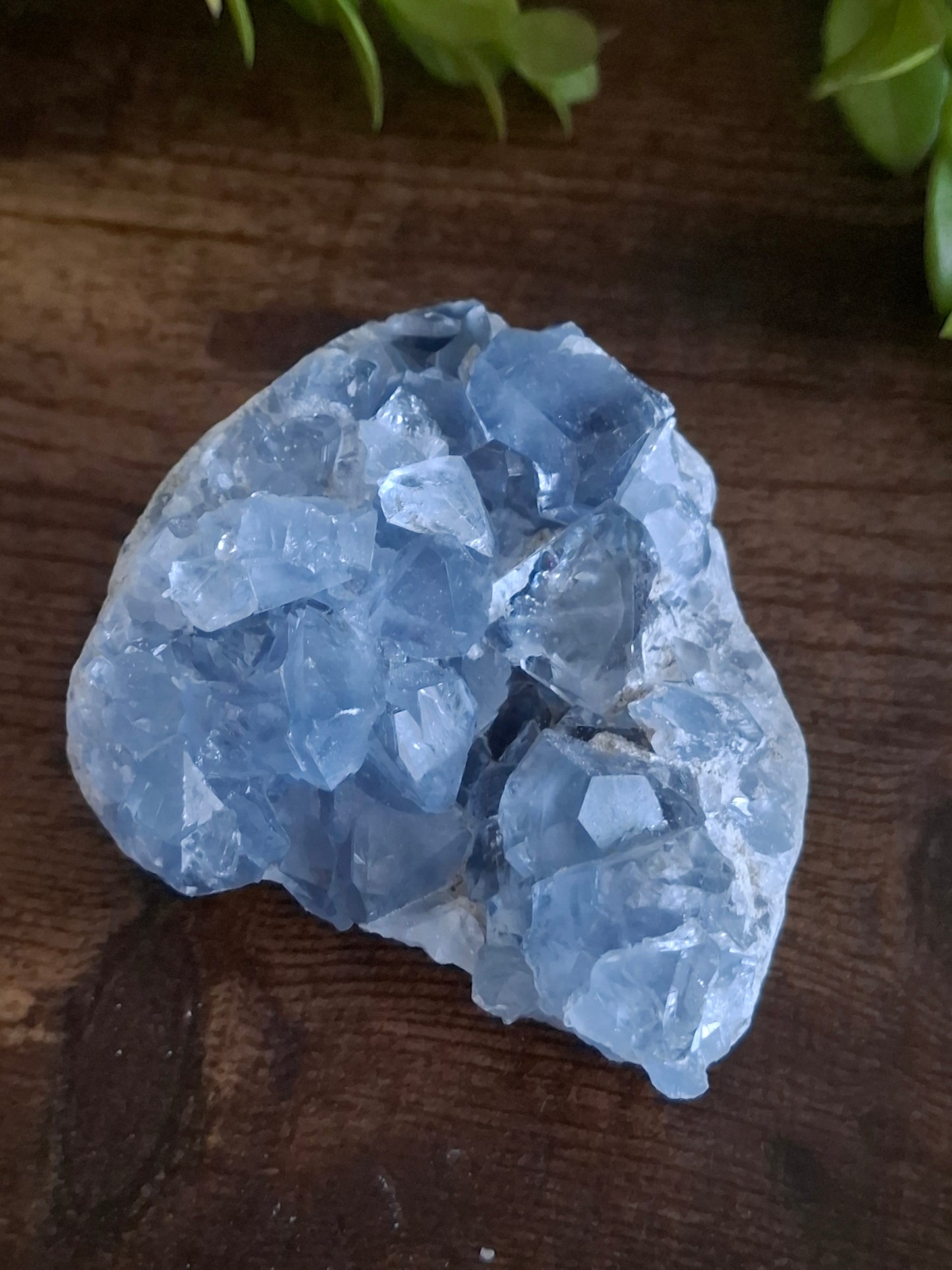 Celestien cluster nr3