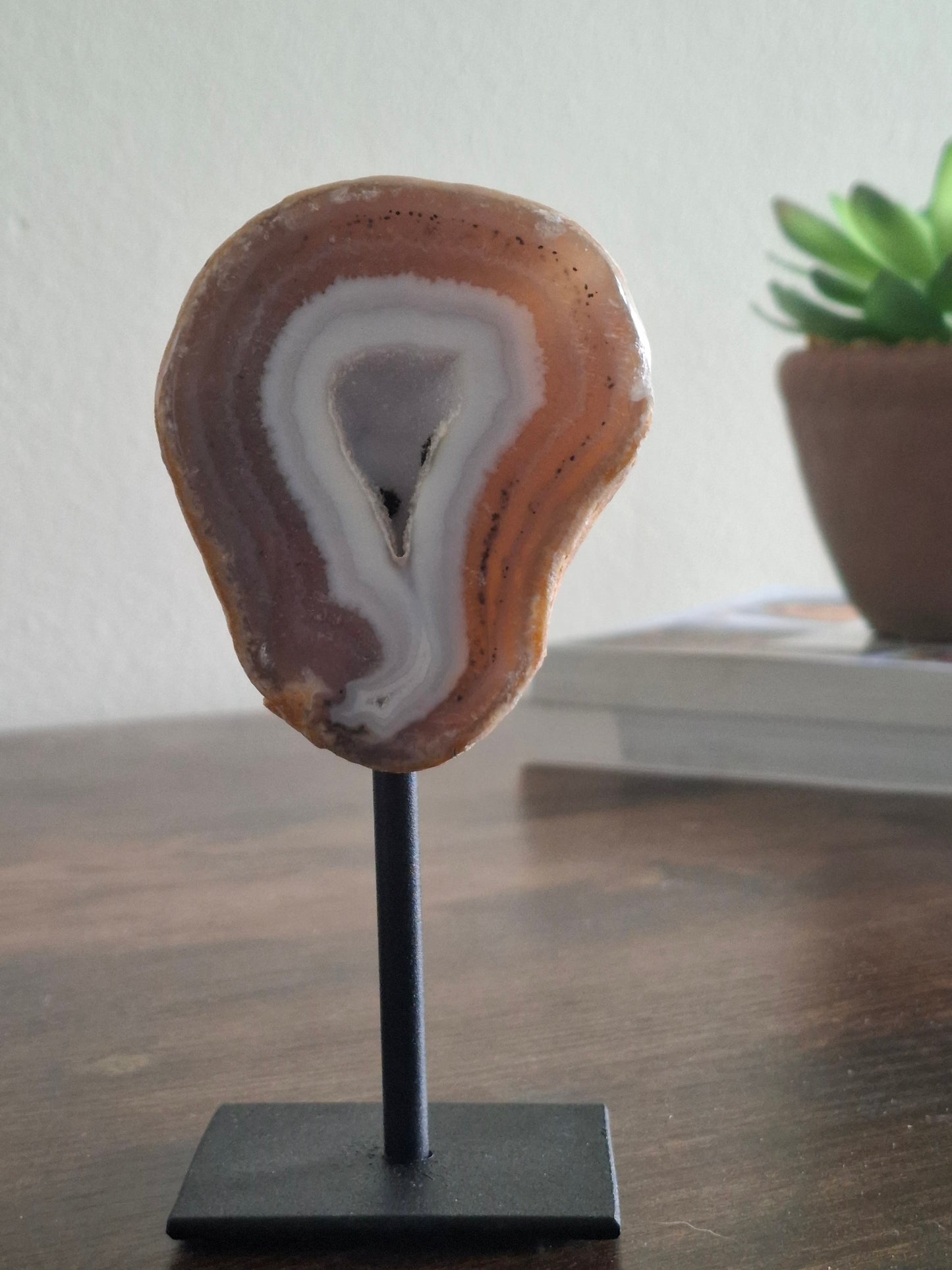 Agaat op standaard nr11