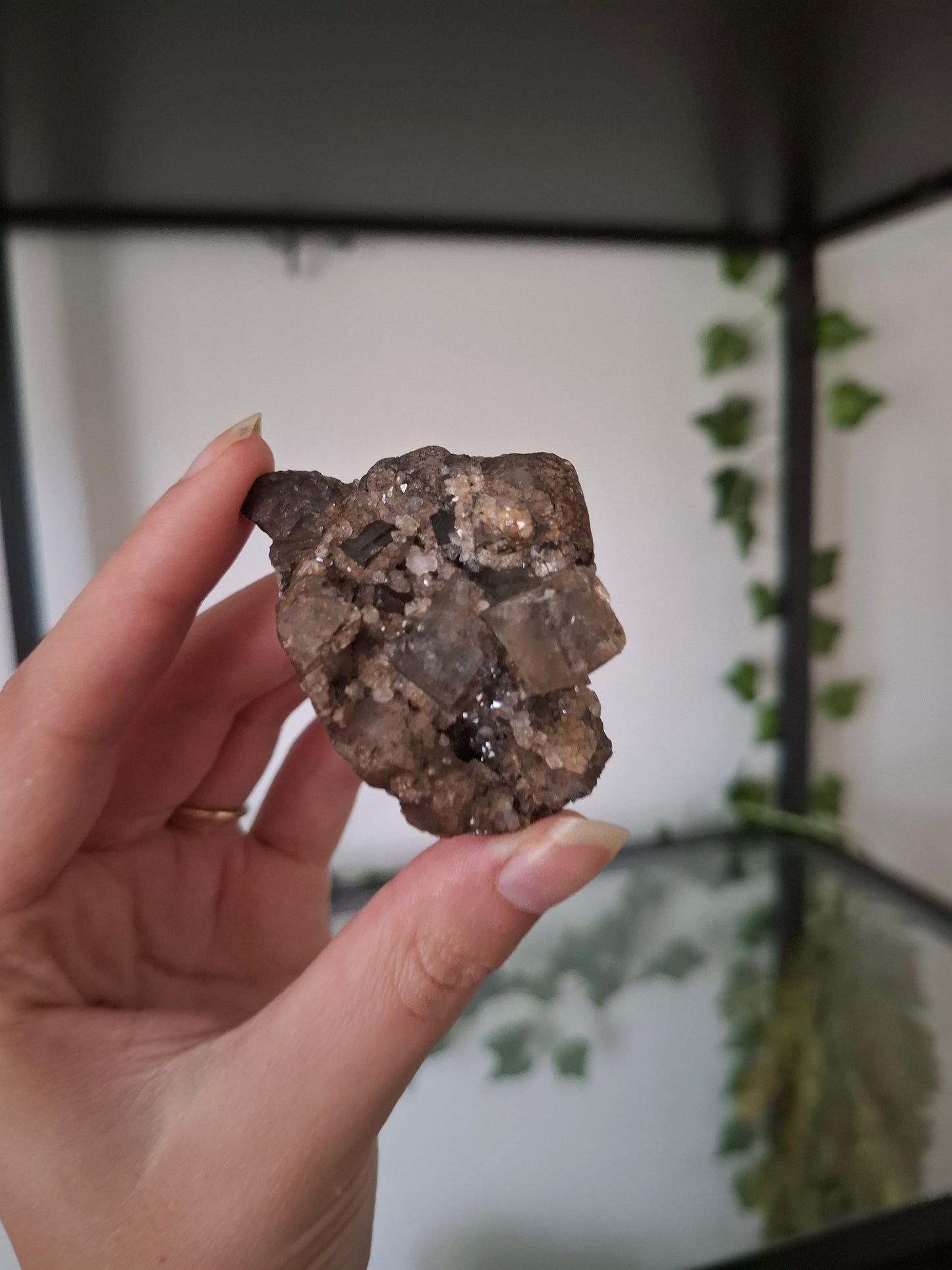 Apofyliet cluster nr2