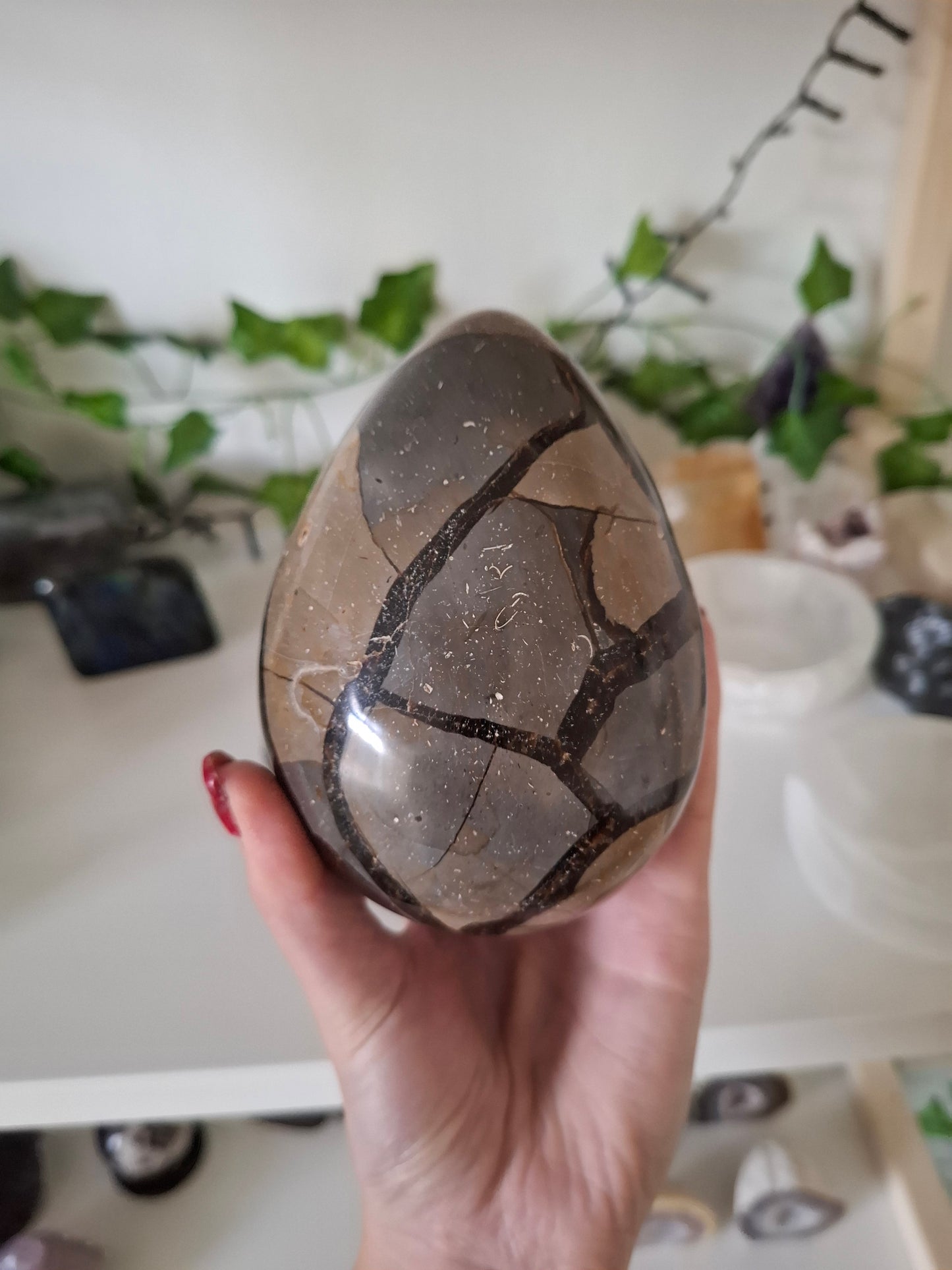 Draken ei / septarie