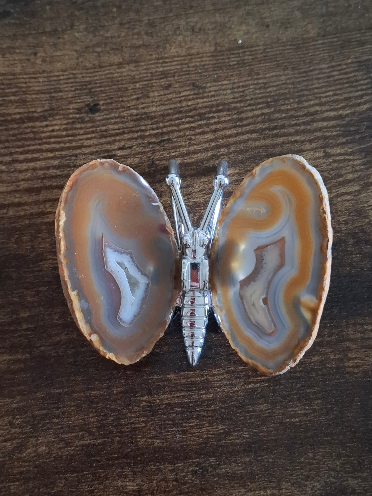 Agaat vlinder nr1