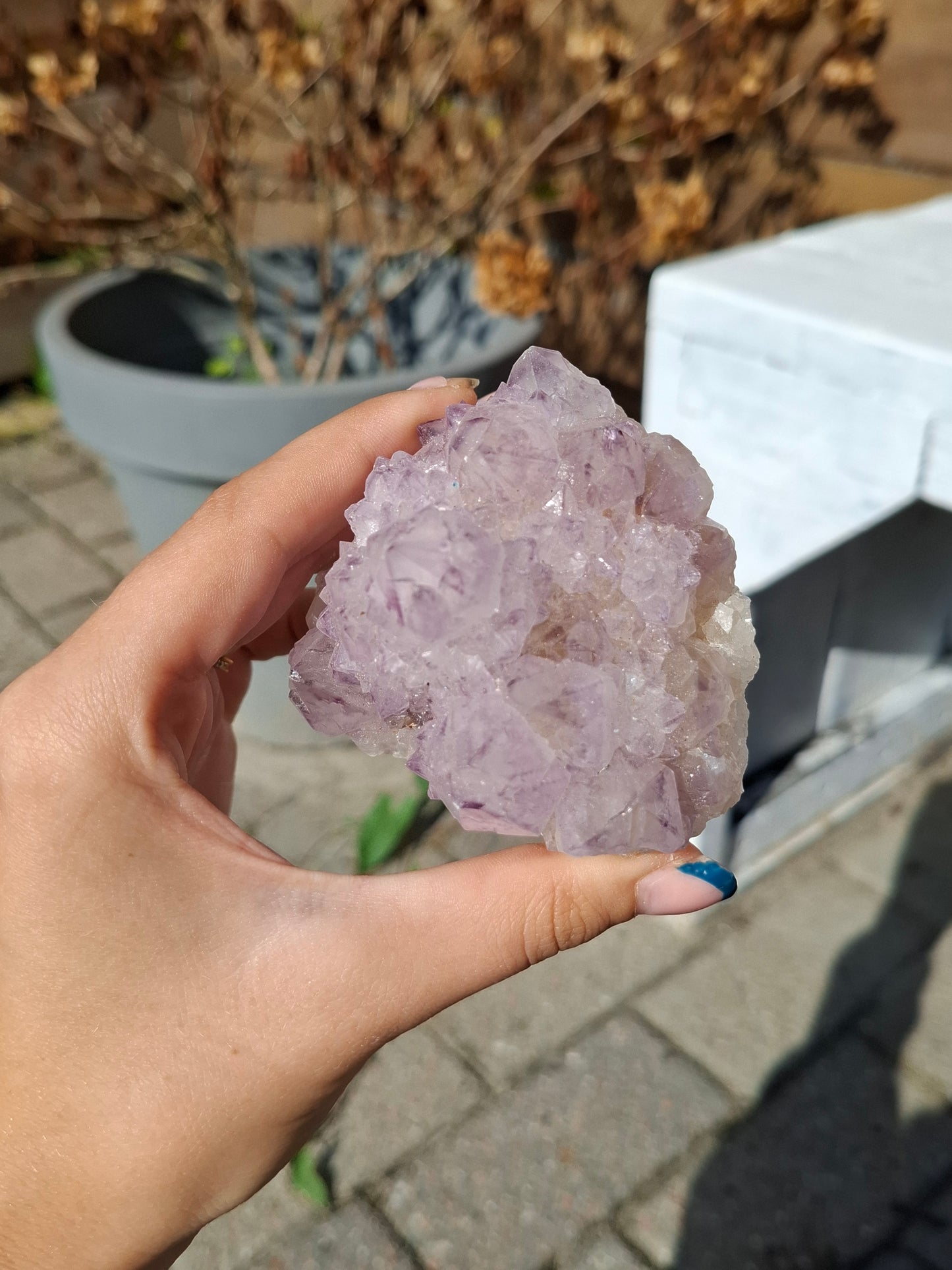 Spirit kwarts (cactus amethist)