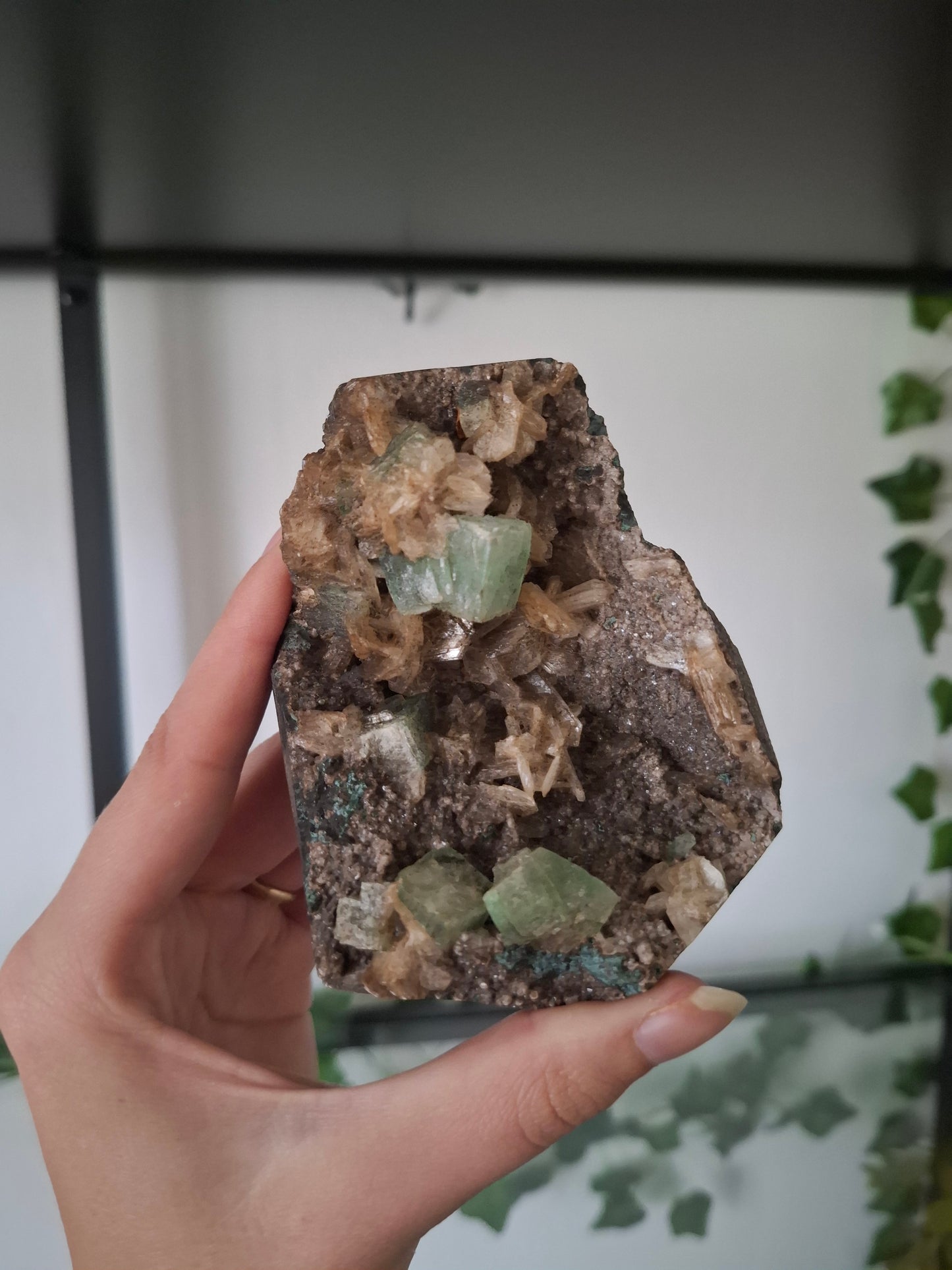 Apofyliet cluster nr3