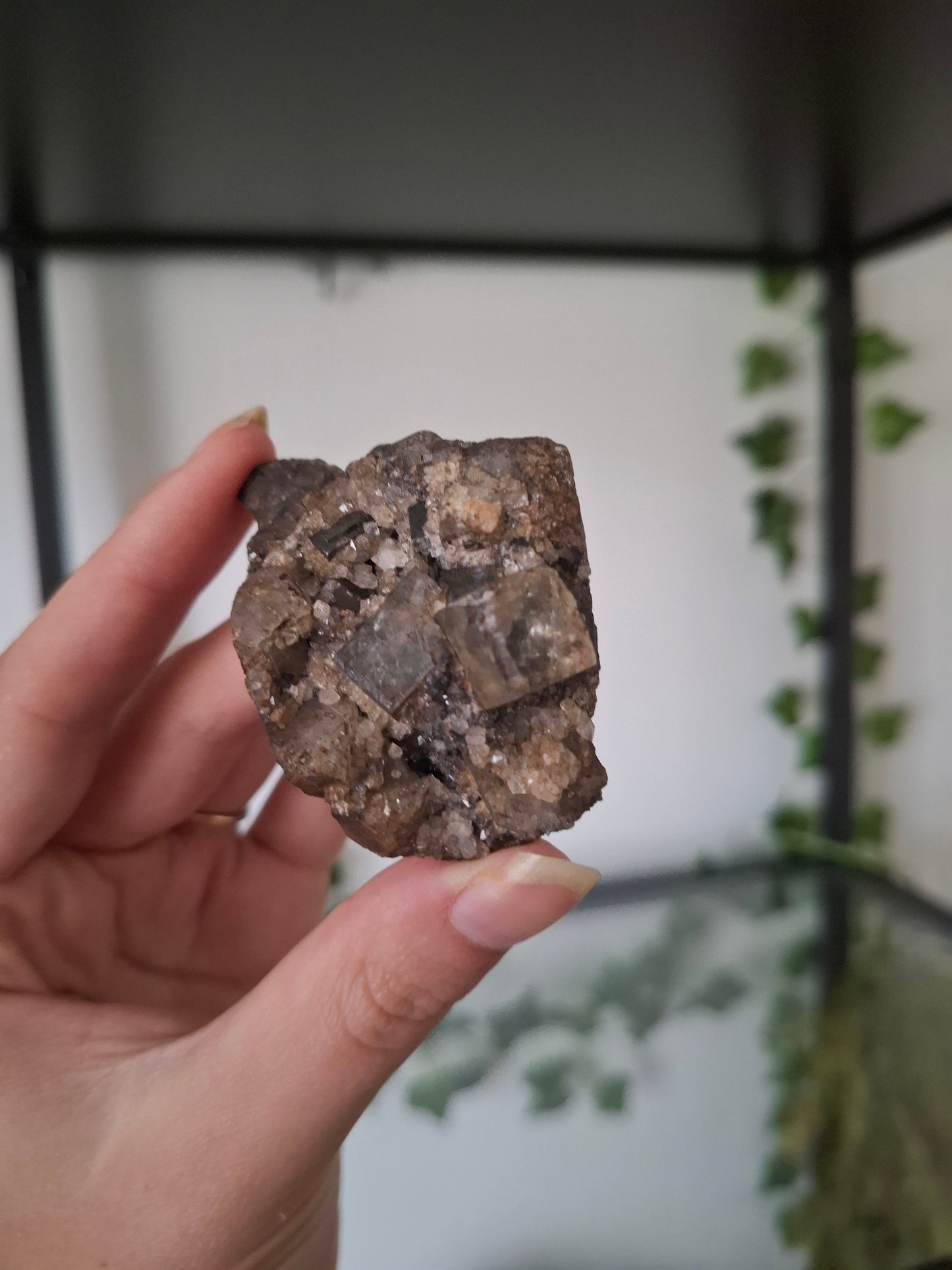 Apofyliet cluster nr2