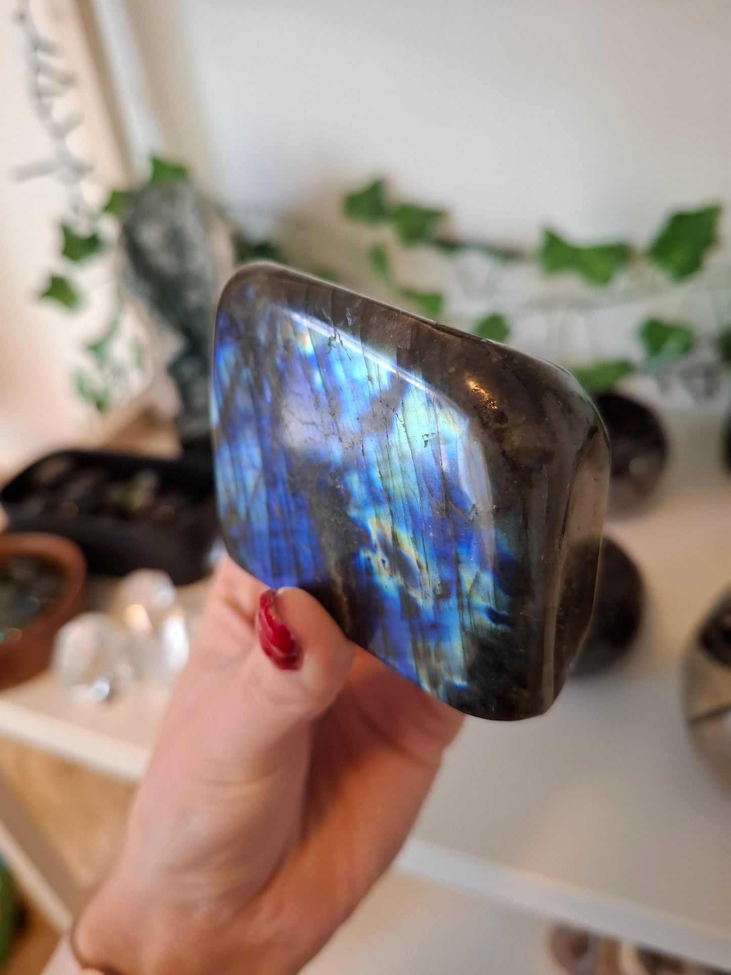 Labradoriet freeform