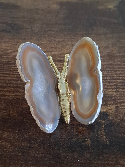 Agaat vlinder nr4
