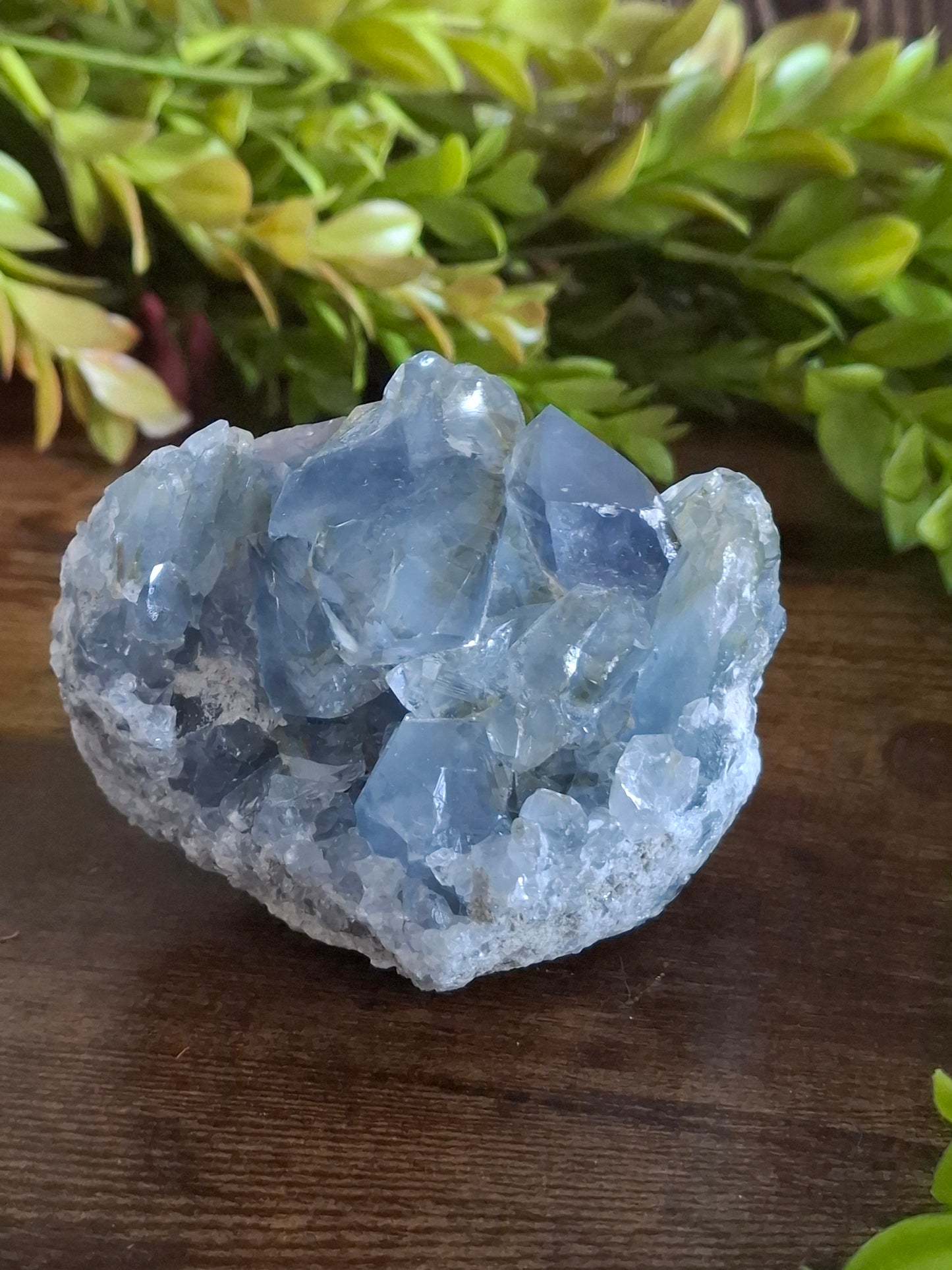 Celestien cluster nr2