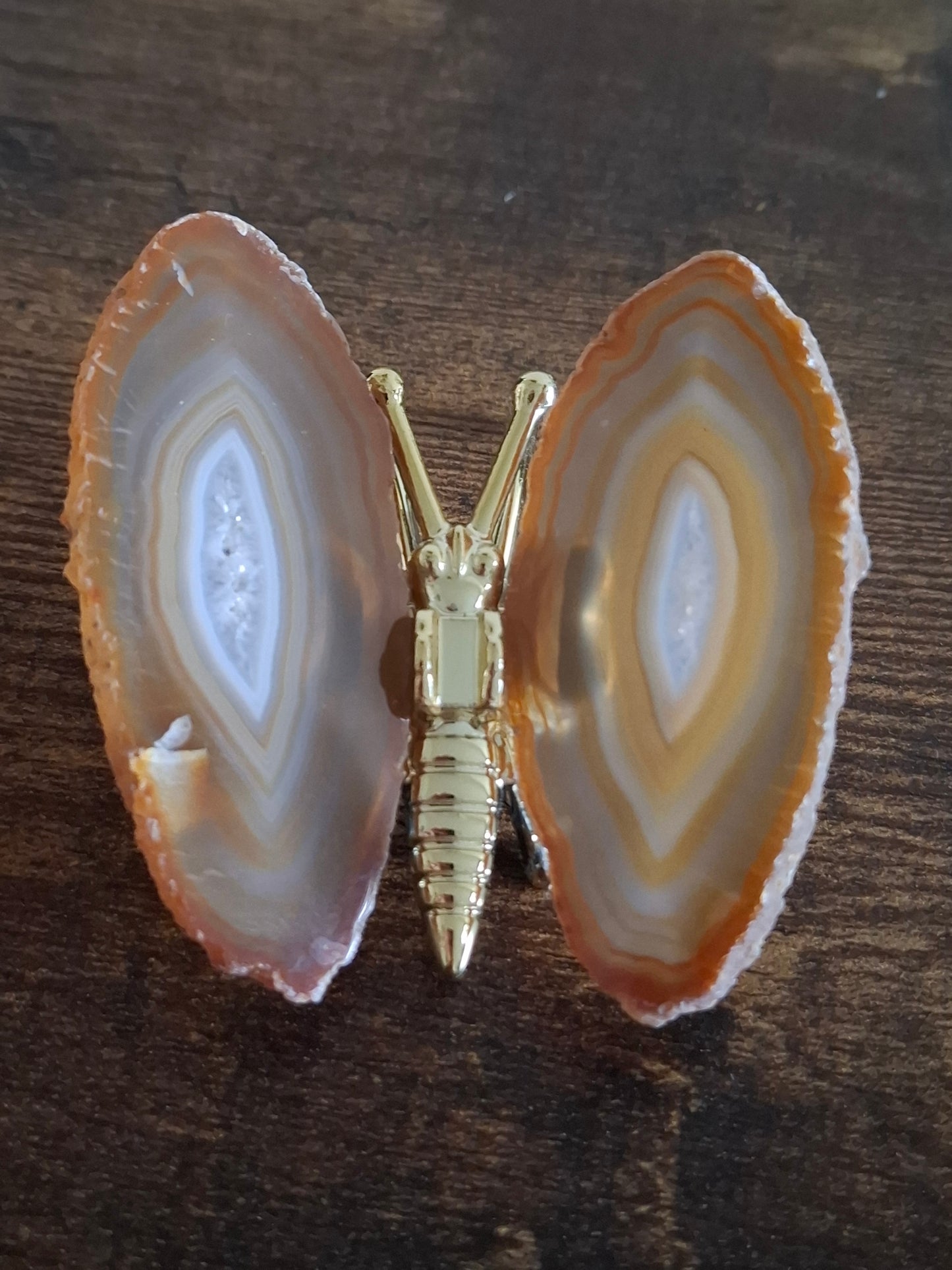 Agaat vlinder nr3